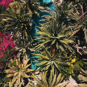 Hotel Flamingo & - Pet Friendly Ölüdeniz